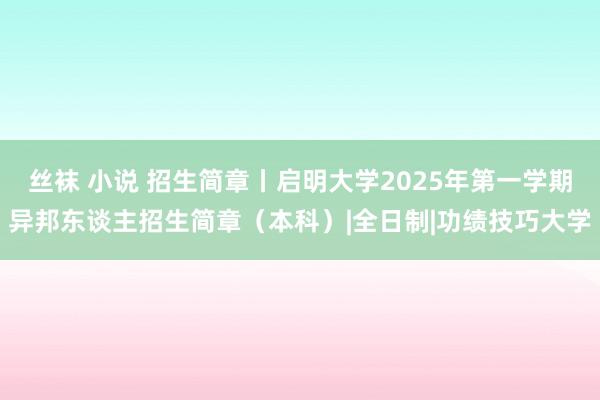 丝袜 小说 招生简章丨启明大学2025年第一学期异邦东谈主招生简章（本科）|全日制|功绩技巧大学