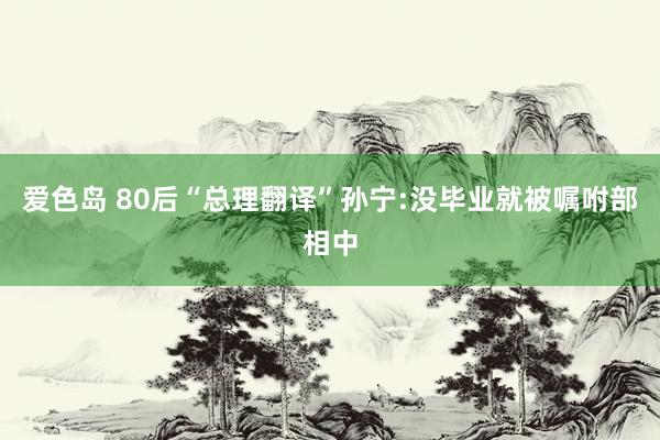 爱色岛 80后“总理翻译”孙宁:没毕业就被嘱咐部相中