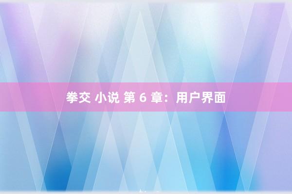 拳交 小说 第 6 章：用户界面