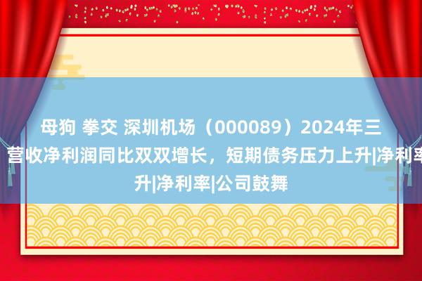 母狗 拳交 深圳机场（000089）2024年三季报简析：营收净利润同比双双增长，短期债务压力上升|净利率|公司鼓舞