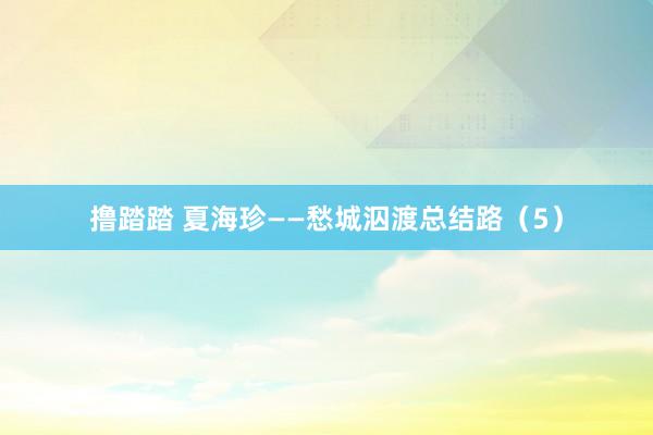 撸踏踏 夏海珍——愁城泅渡总结路（5）