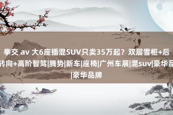 拳交 av 大6座插混SUV只卖35万起？双层雪柜+后轮转向+高阶智驾|腾势|新车|座椅|广州车展|混suv|豪华品牌