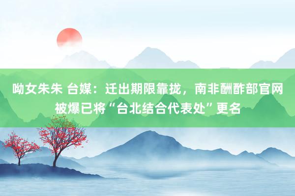 呦女朱朱 台媒：迁出期限靠拢，南非酬酢部官网被爆已将“台北结合代表处”更名