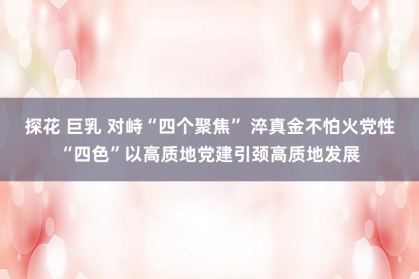 探花 巨乳 对峙“四个聚焦” 淬真金不怕火党性“四色”以高质地党建引颈高质地发展